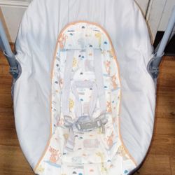 Graco Baby Swing 🍼