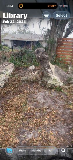 Coquina Rock