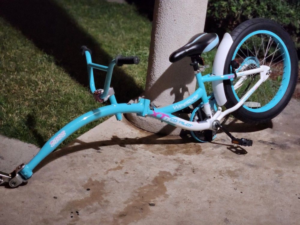 20" Almost New Folding Trailer Bike With Fat Tire