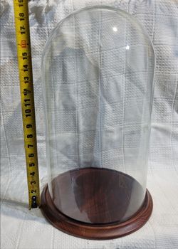 Glass dome display cover. XL Like  new $150