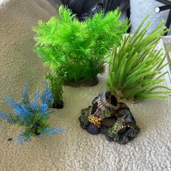 Aquarium Decor