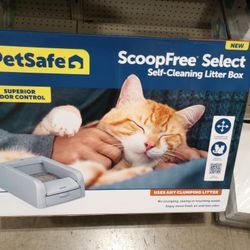 Kitty Litter Box