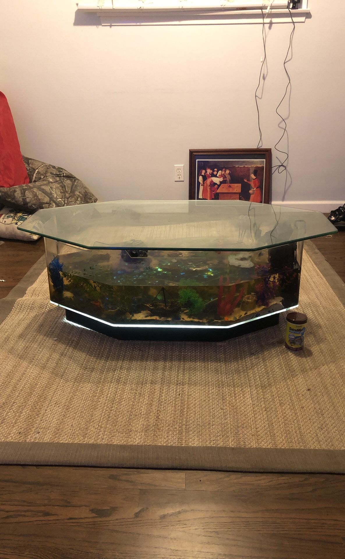 Glass fish tank / Coffee table