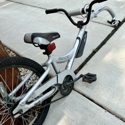 Half Wheeler, Attaches To A Bike So Kid Can Ride Behind You