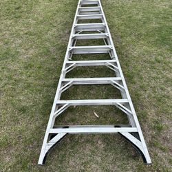 Ladder 12 Feet