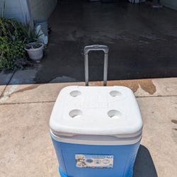 Coolers 