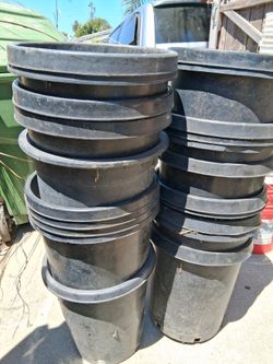 Plqnt pots $5 each super strong 16 available