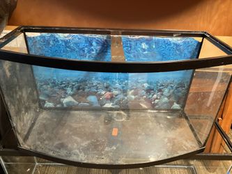 Bow Tank ,stand ,light