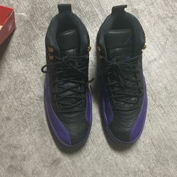 Used Field Purple Jordan 12 Size (12)