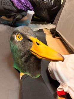 Duck Mask
