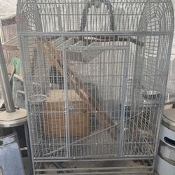 Bird Cage 