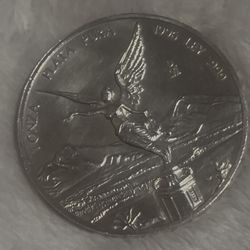 1996 Silver Coin