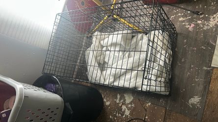 Dog crate