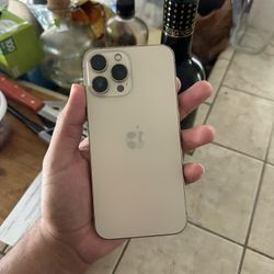 13 Pro Max
