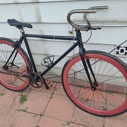 Zf fixie bike