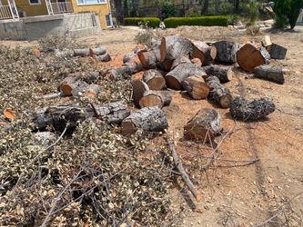 Firewood