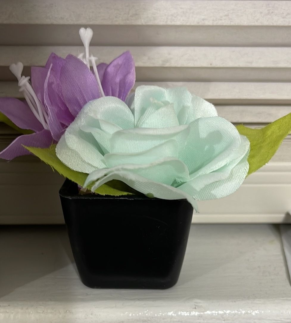 Flower Pot