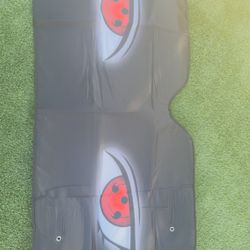 Windshield Protector
