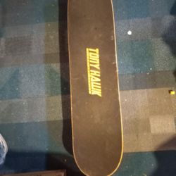 Tony Hawks Skateboard 