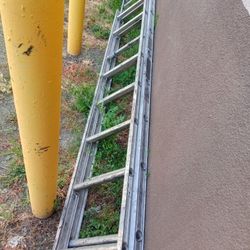 Extension Ladder 