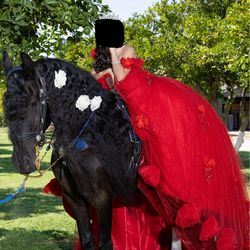 XV Quinceñera Vestido Dress