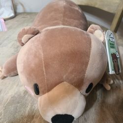 BEARY HAPPY-Pillow with Tags Attached 