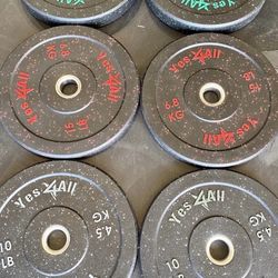 Three Pairs Of Bumper Weights, 25 Pounder 15 Pounder And 10 Pounder