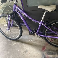 Specialized Hot Rock 