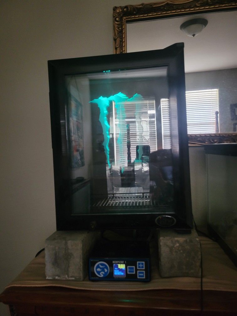Professional Incubator Wirh Thermostat.