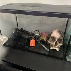 10 Gallon Tank 