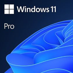 Microsoft Windows 11 Pro 64-Bit DVD OEM Factory Sealed