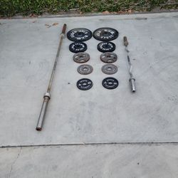 Weights Gym Fitness 