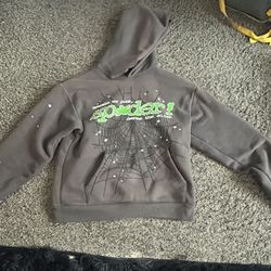 Spider Hoodie Gray And Green Size S