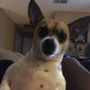 Charlee