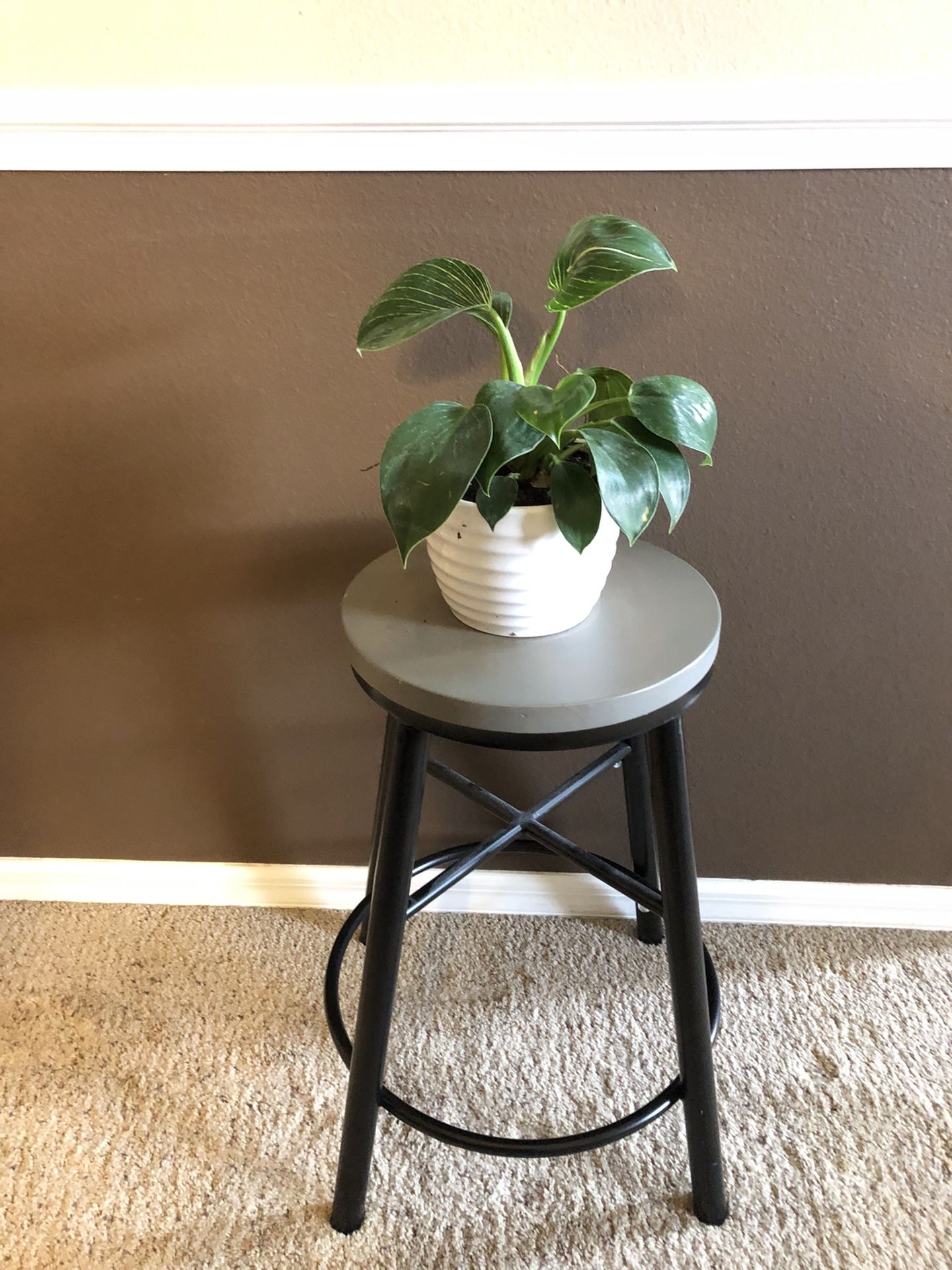 Metal Stool/ Plant Stand
