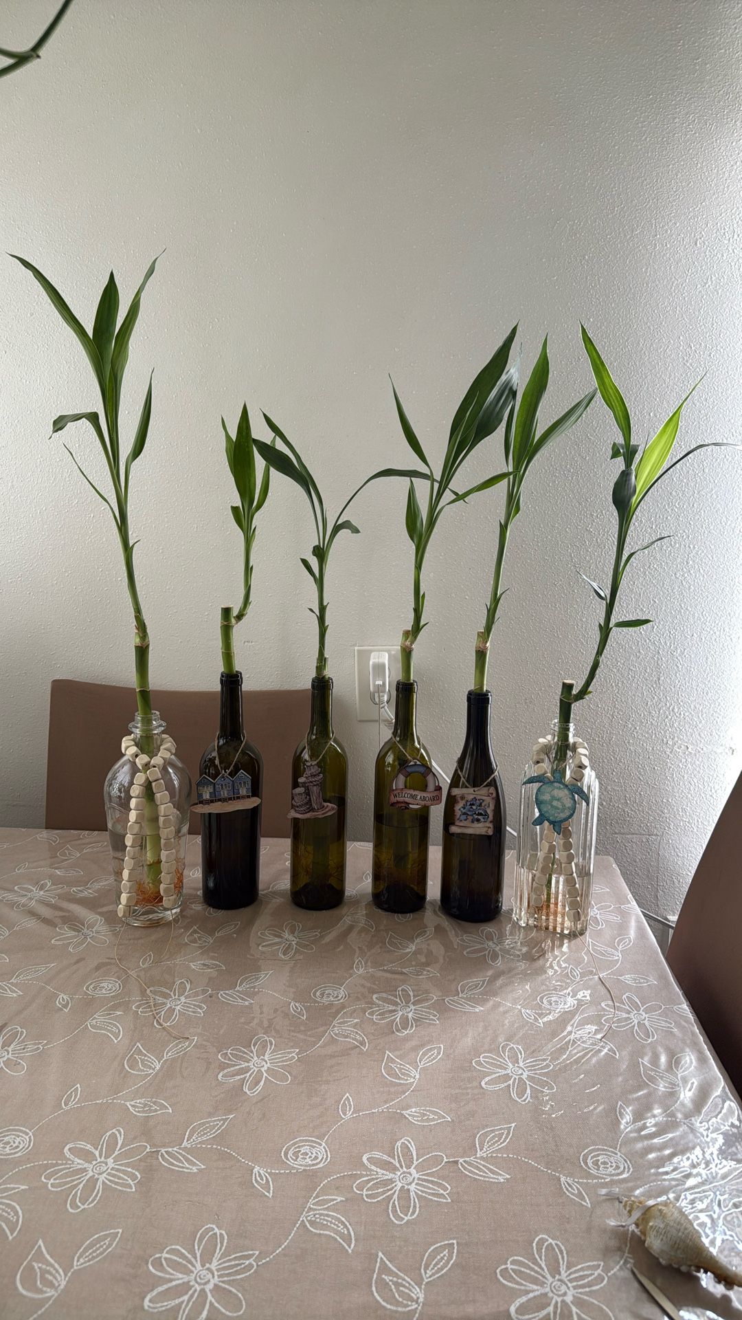 Boteyas Con Bambú
