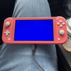 Nintendo Switch Lite Blue Screen