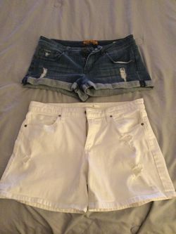 Women’s Shorts