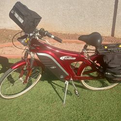 ‼️Vintage electric bike ‼️EV Global (EVG) eBike SX 