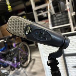 Mic And Stand