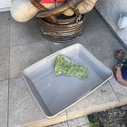 Free Litter Box