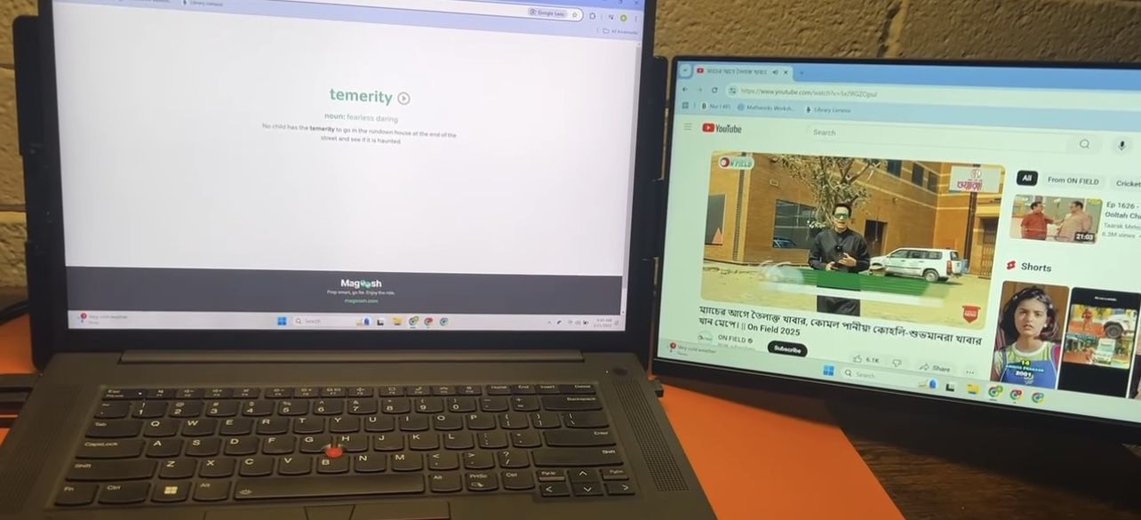 Sungle Screen Extender 14 Inch