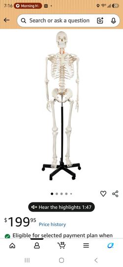 Skeleton with all parts