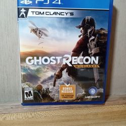 Ps4 Ghost RECON 