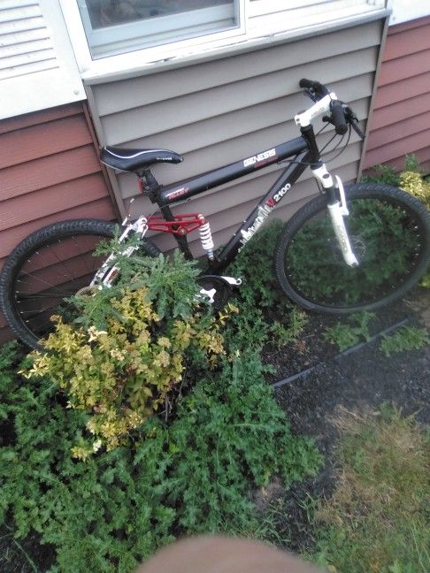 Nice Trail Bike Or Road Bike