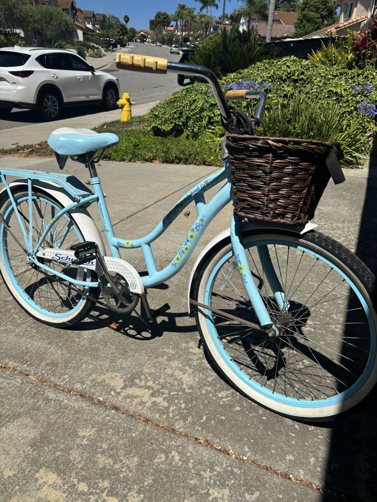 Schwinn Beach Cruiser