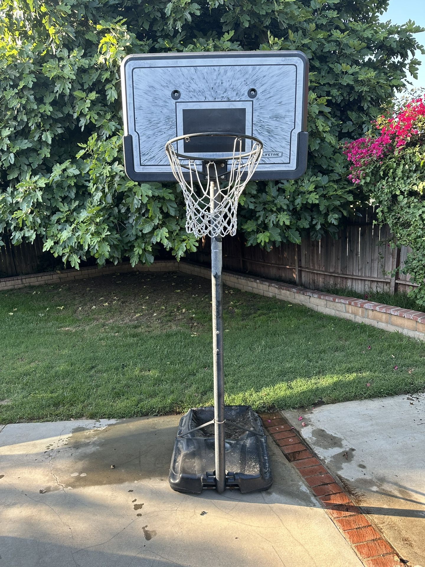 Basketball Hoop