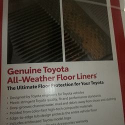 RAV 4 Floor Mats  100 Obo