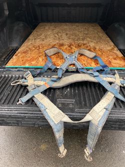 Sal’s brand safety harness