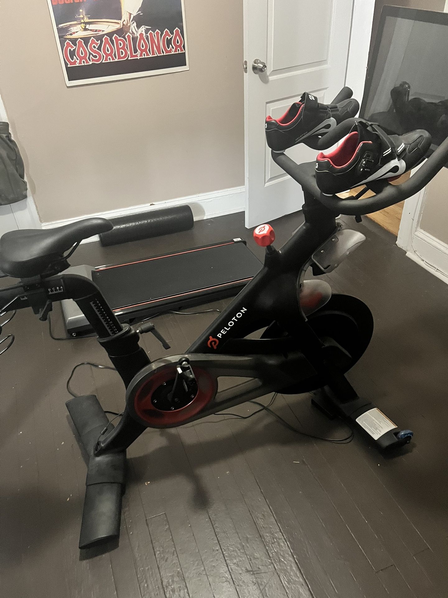 Peloton